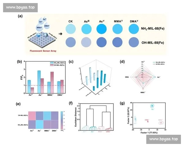 基于比赛数据统计的分析与预测模型研究及应用探索